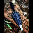 Lapel dagger modernisé.Lame en acier xc75, trempe intégrale, finition stonewash, lanière en par(1).webp